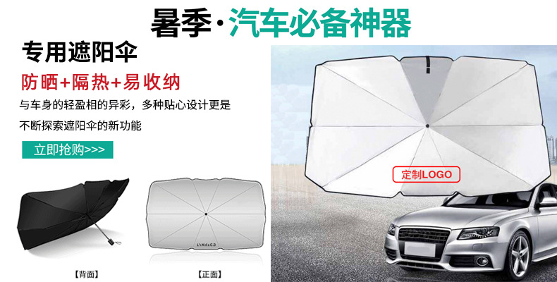 汽车伞2