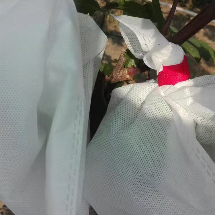 不織布果物袋ぶどう袋防鳥防虫防水専用糸果物袋育苗袋現物|undefined