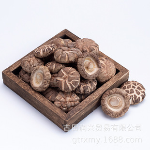 �������������㹽�r�ҷNֲ�㹽��؛�o����Ģ���������