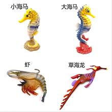 ��ͯ�J֪���������溣�R ���r �ݺ��� ���Rģ�͔[�����k