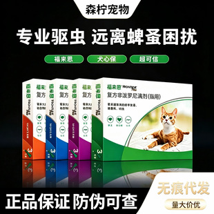 �������΄� �����w����x  Ȯ؈�w����xș�΄� ؈�乷�����xș