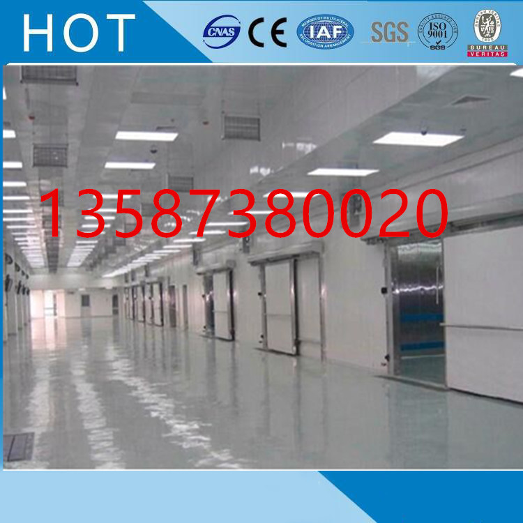 果蔬速冻后冷藏冷库肉制品调理食品面食类海产品速冻库高温低温库