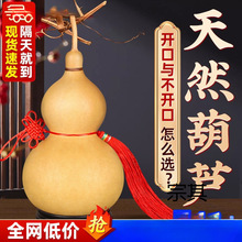 ��Ȼ���J�������J���Ї��Y�����_���T���T�͏d���P�[����̖����