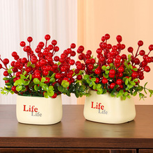 �t���lؔ��life��ƿ�b��������»���w��ϲ�c��ˇ�����b�ˇ