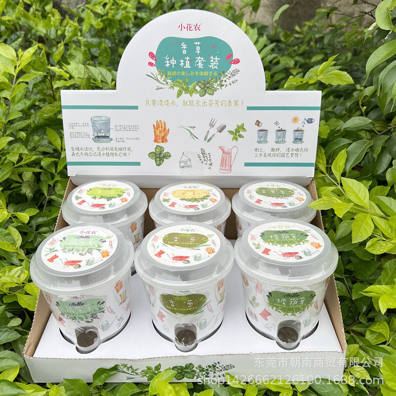 Small Flower Farmer Kidsren's Kitchen Herb Series Self-Absorbing Water Planting Set Mint Fennel Basil Physical Spice Plant