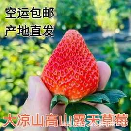 桑椹;草莓