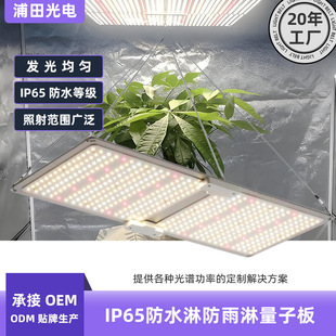 IP65��ˮ���Ӱ�ֲ�����L���峬��������ֲ����Gֲ�����a���led