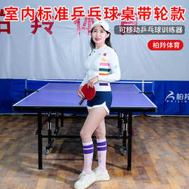 可移动乒乓球桌家用可折叠移动乒乓球台源头厂家比赛用乒乓球桌