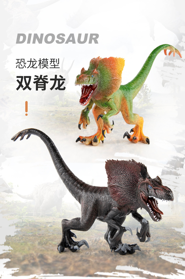 详情_01.jpg