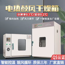 电热恒温鼓风干燥箱高温加热小型工业烤箱医用烘干机实验室烘箱