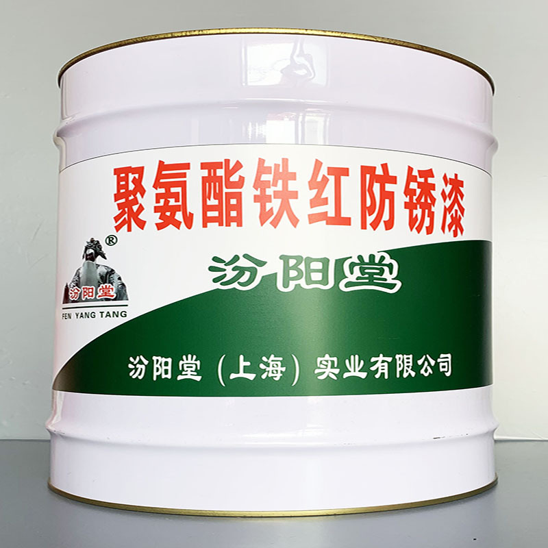 聚氨酯铁红防锈漆、选汾阳堂牌、聚氨酯铁红防锈漆、价格实惠
