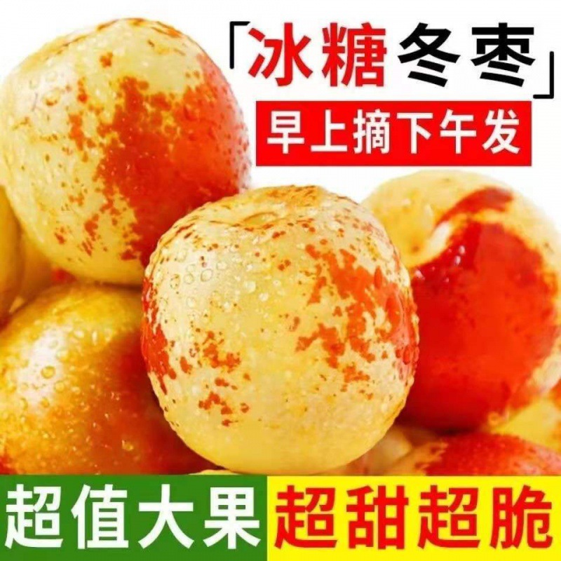 Shaanxi Dali Jujube fresh Dates Jujube Season fresh fruit Jujube FCL 6