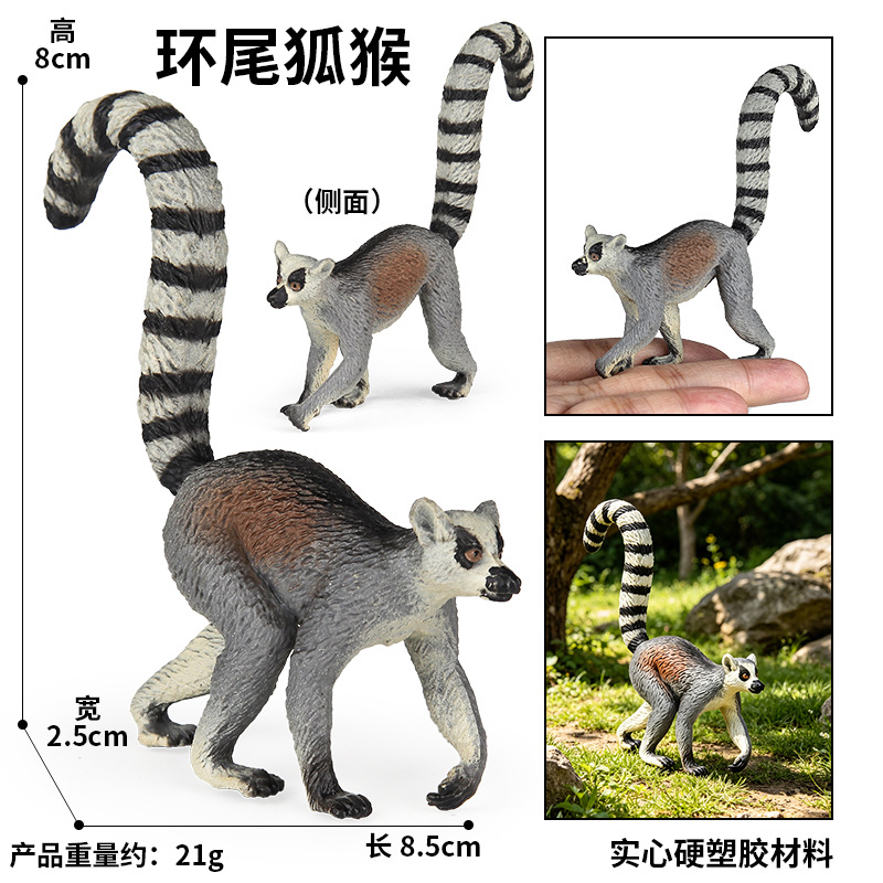 HZJM396 Lemur de cola anillada