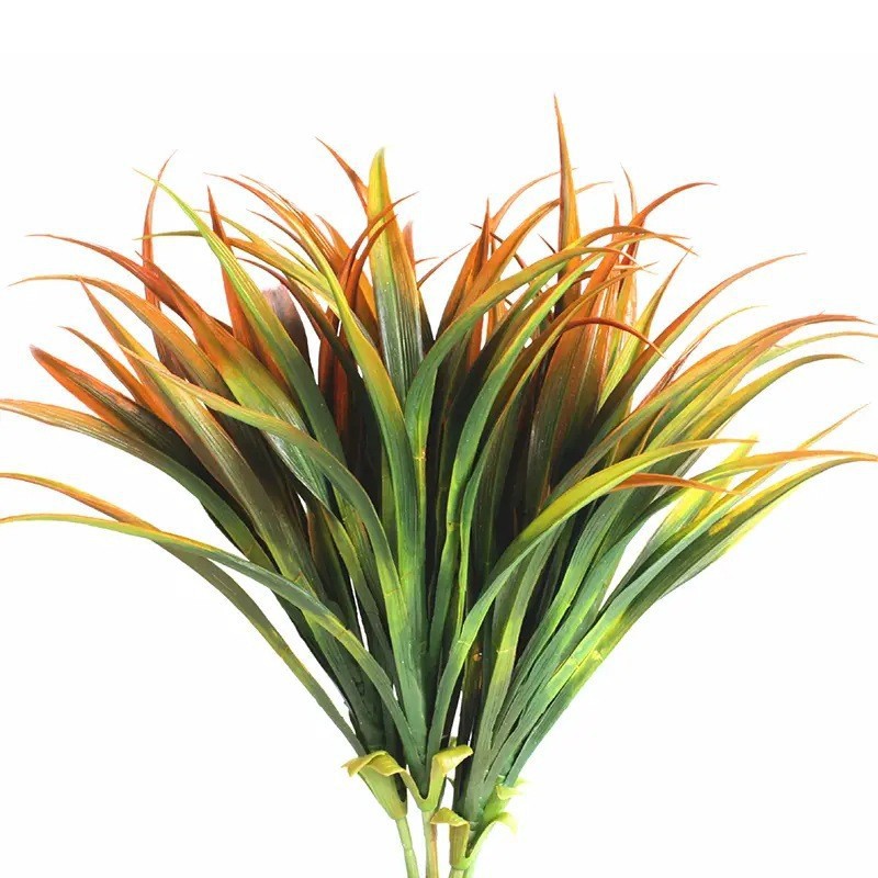 엽록소-오렌지 꼬리