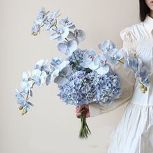 高级感手感蝴蝶兰仿真花高品质客厅桌面装饰花艺摆件绣球假花摆设