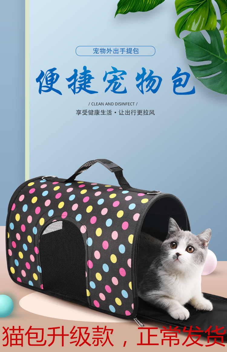 14154259179_688125845