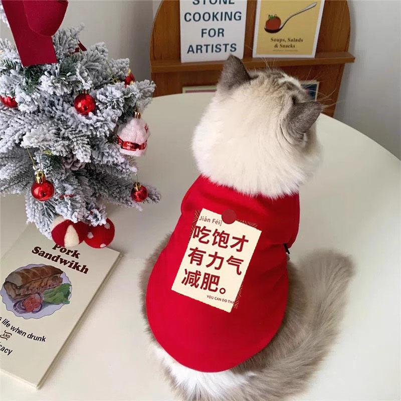 Ropa de felino de peluche otoño y invierno mascotas de Navidad de dos patas suéter gato azul gato muñecas de tela corta gato anti-pillo gatito gatito