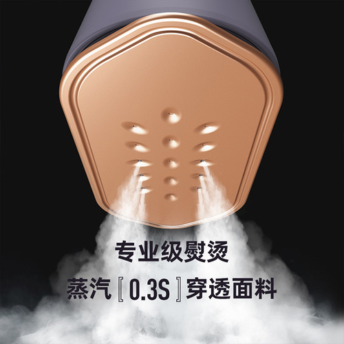 Han Yu holds a household small portable steam iron, a hand-held garment steamer for flat ironing clothes.