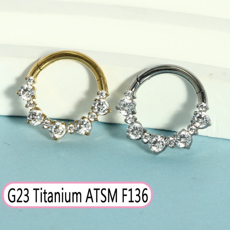 G23 Titanium Oval Zircon Septum Nose Ring Closed Ring Earring Cochlear Piercing Jewelry detail image 12