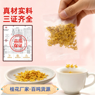 𻨸ɪbСVֲ~BɢoѬɹ𻨸