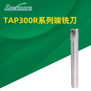������TAP300R������㊵�����㊵����ĳ�ˮ㊴��_��ֱ��㊵��U