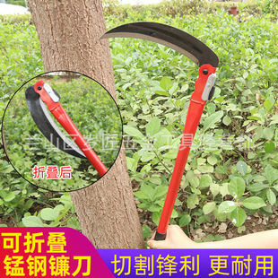 �r��砵���ĥ��ۯB砵���ݵ���Ȳݵ���~�r�ߴ�砵����ݹ���