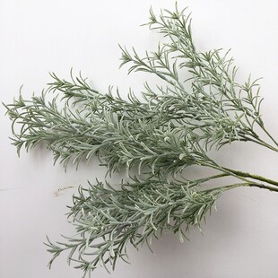 �y�~�պ��s��ֲ�q����~�͏d�����b��Ӱ��g�[��ֲë�ҾGɫ����