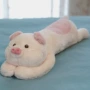 儿童女孩小号可爱布娃娃