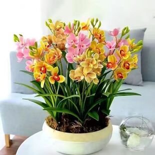 �ļ��_����Ʒ�����m������������x�ͺ������ذ������ֲ������