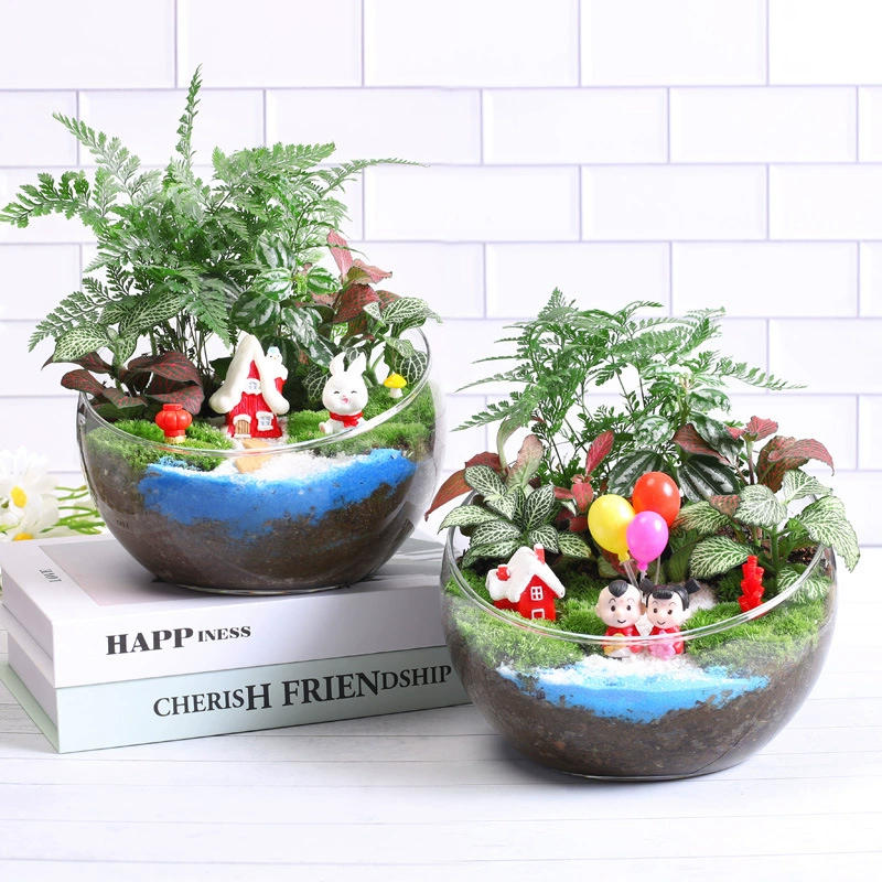 Забавный свежий мох миниатюрный пейзаж творческий новогодний Снежный пейзаж подарочные товары на День Святого Валентина экологическое зеленое растение бонсай 18 срез