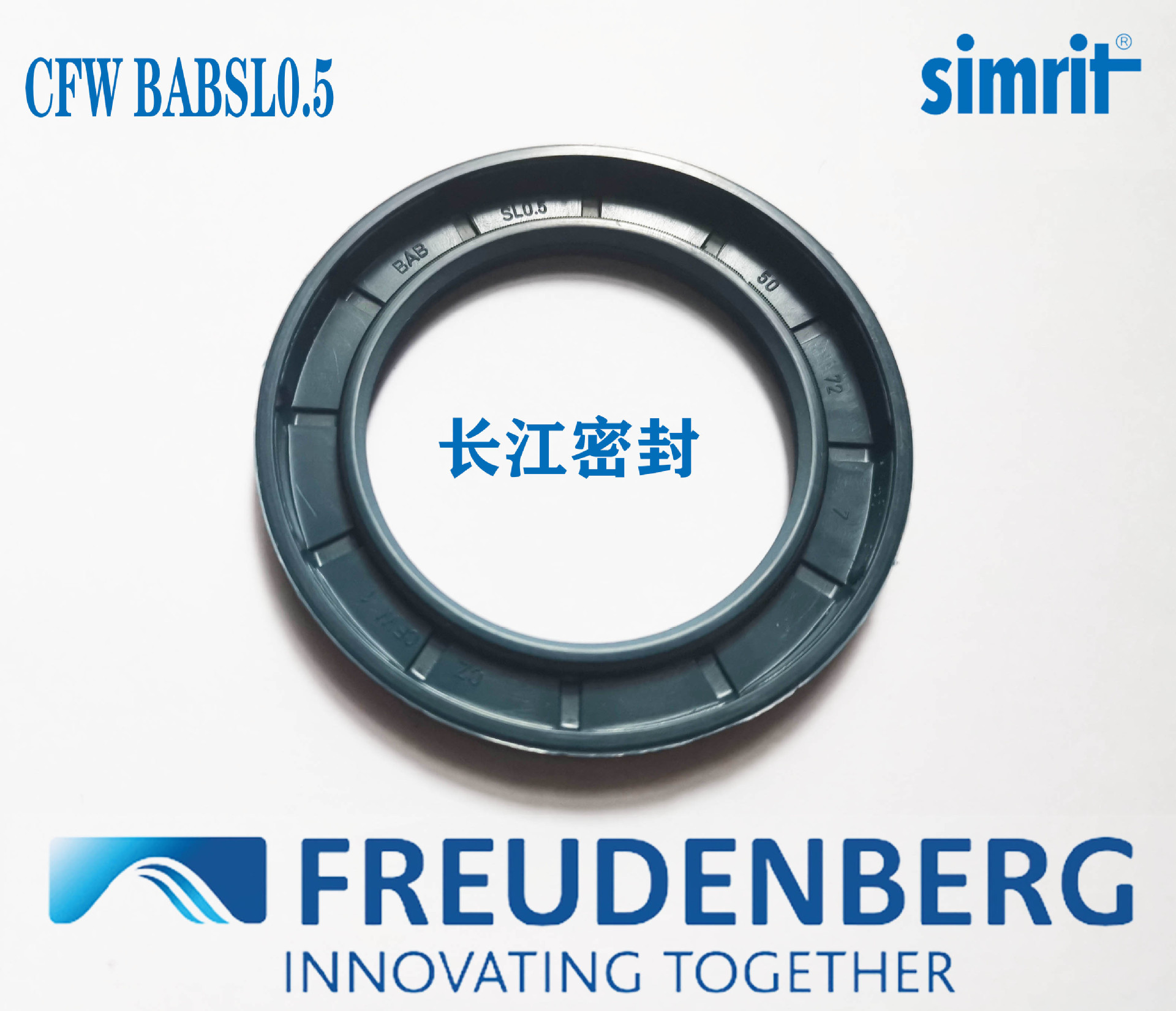 CFW A1 BABSL05 15-25-6-5 SIMMERRING BABSL德国骨架油封