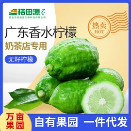 果蔬汁;柠檬;乌龙茶