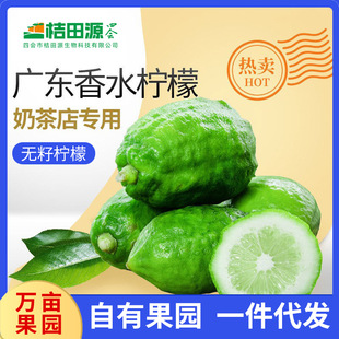 �V�|��ˮ�������r�Fժ�㙎�̲�ꌣ��һ�������ʮ������l���]����