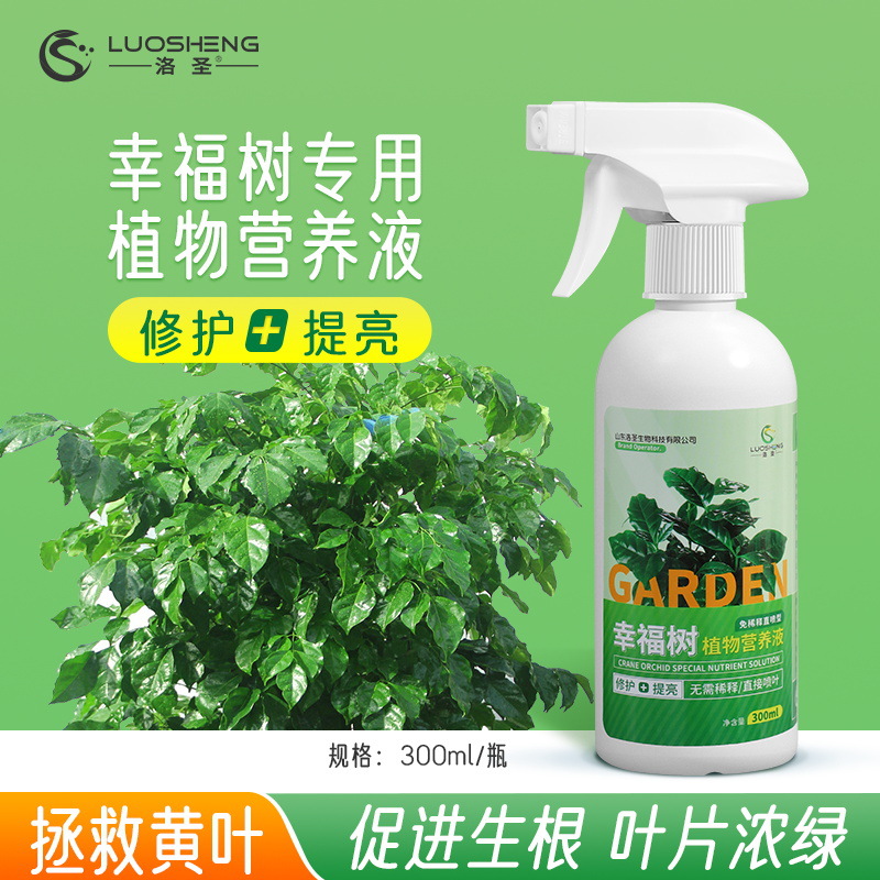 Solution nutritive spéciale pour le bonheur hypertrophie des feuilles des arbres, branches luxuriantes, régulation de la croissance, réduction des feuilles jaunes, plantes robustes
