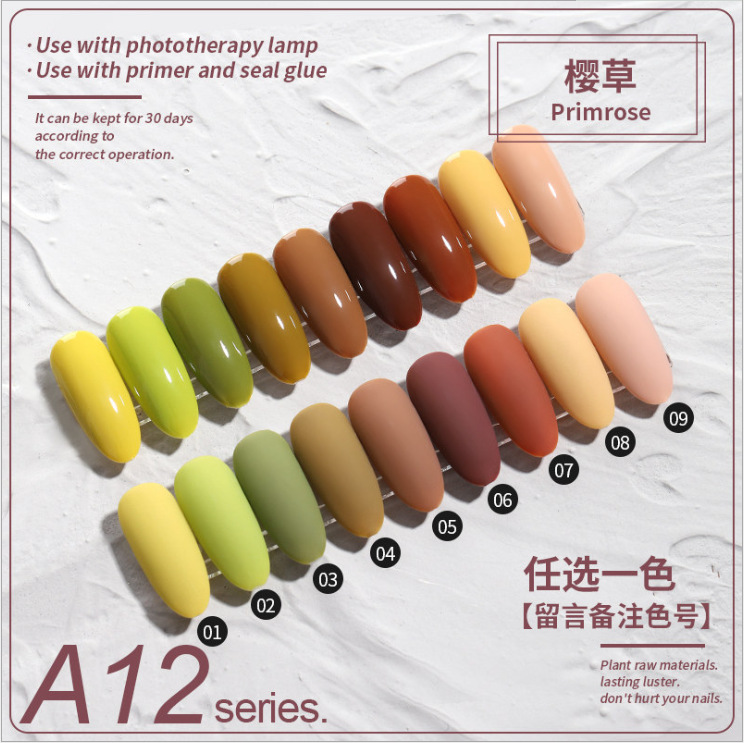 A12樱草 拍下数量留言