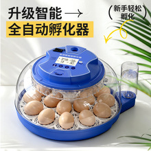 孵化器小型家用全自动小鸡孵化机智能小飞碟鹦鹉芦丁鸡鸟蛋孵蛋器