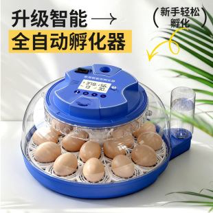 ������С�ͼ���ȫ�Ԅ�С�u�����C����С�w���W�^�J���u�B��������