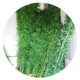 Artificial Bamboo Shopping Mall Decoration Fake Moso Bamboo Indoor Decoration Screen Partition Bamboo Outdoor Artificial Viewing Bamboo