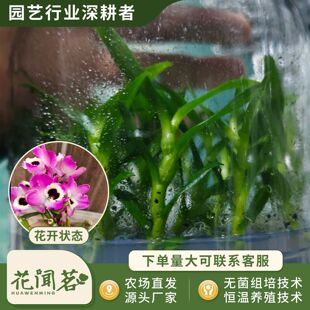 �����s��ʯ��3077ƿ���׳ɻ�M��С���҃������Ի�������r��