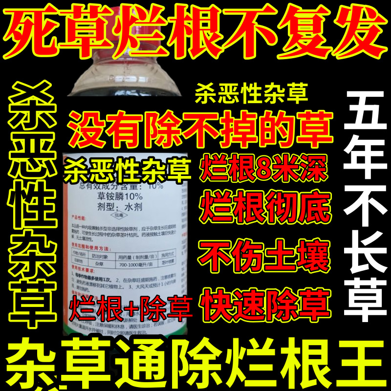 死草烂根不复发精草铵膦铵盐杀恶性杂草除草剂果园烂根剂杀草王