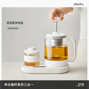 olayks Orek Health Pot Small Office Constant Temperature Household Multifunctional Glass Kettle Boiling Teapot