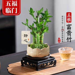 ���帣�R�T��������F��������ʽ�U��Gֲ���k���҃Ȳ�������