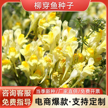 ~NӼ~ݾ^Gļͺ׷N׻̨@ˇN