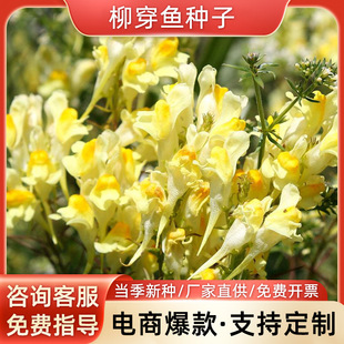 �����~�N�Ӽ����~�ݾ��^�G�������ļ��ͺ��׷N�׻��̨�@ˇ���N