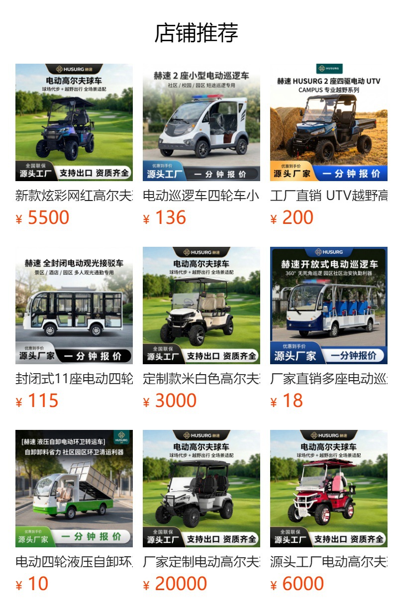 Electric Patrol Vehicle with Pickup Bed for Campus Tours, Factory Areas, Property Management, and Street Security Inspection