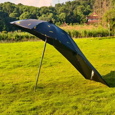 Takeaway Vehicle Umbrella Stand, Sun | Elektromobil üçün ön şüşə çətiri (günlük) - vinyl-cartoon-single-umbrella-30-frame-black-feather-extended-length-straight-165m