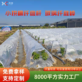 玻璃纤维棒农用保温小拱棚纤维杆黄瓜豆角秧苗爬藤支架玻璃纤维杆