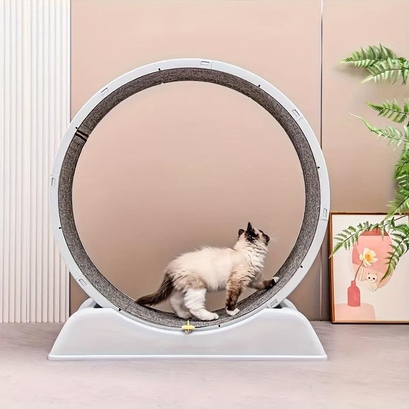 2025 新しいクロスボーダーデリバリー静かな猫トレッドミル動物柄非電動エクササイズクロスボーダー|undefined