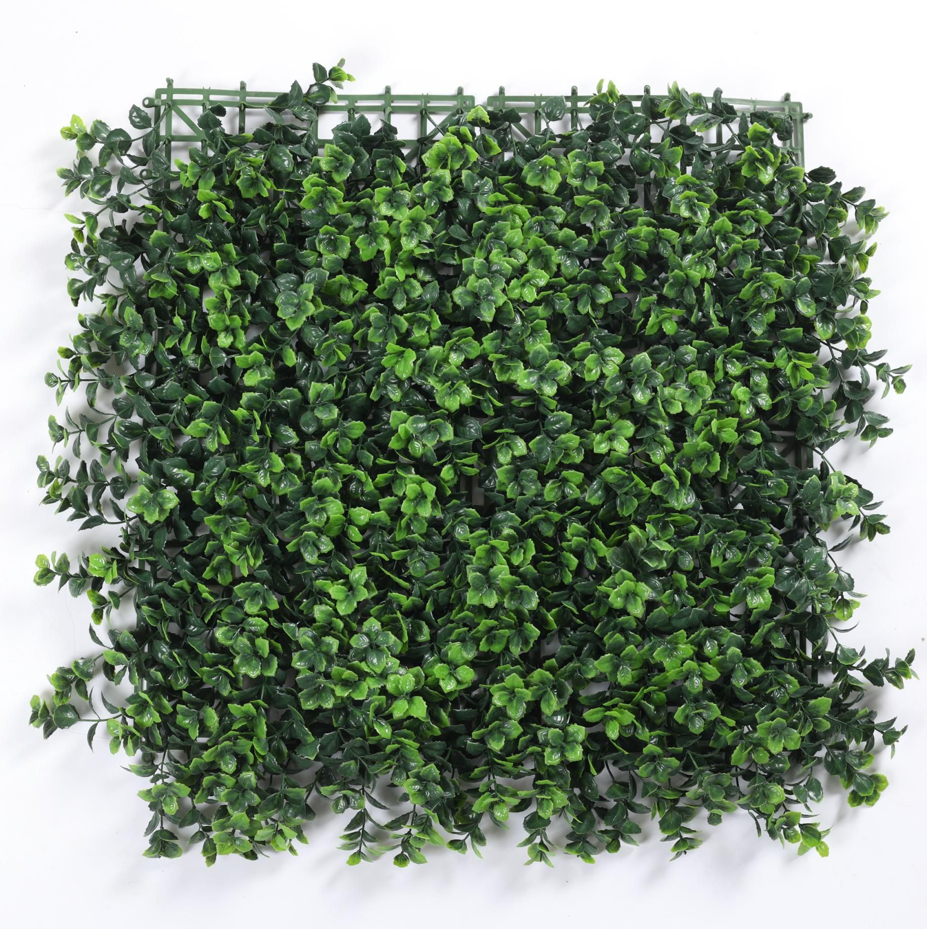Green lucky grass