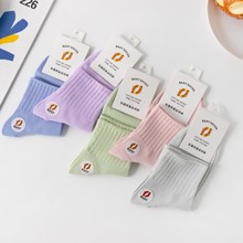 �T���m��ȫ��Ů�ǹ���Ͳ�m��Ů�����_�ڷ��������½������e�m